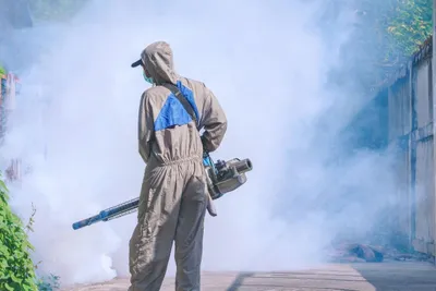 مكافحة الحشرات والنمل